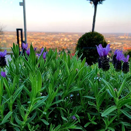 Bagoly Wellness לינה וארוחת בוקר