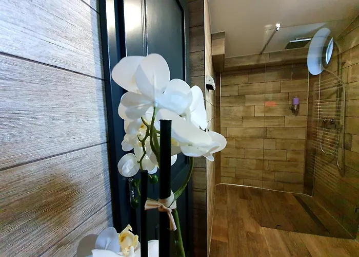 Bagoly Wellness 4* 페치